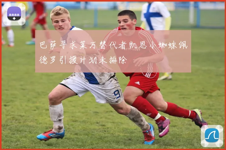 巴萨寻求莱万替代者凯恩小蜘蛛佩德罗引援计划未排除