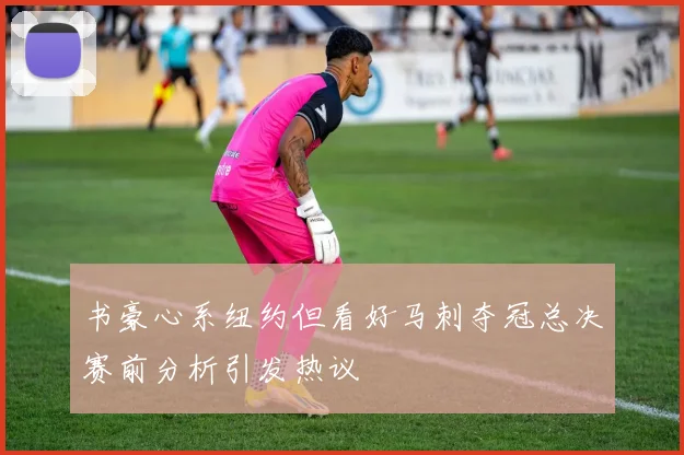 书豪心系纽约但看好马刺夺冠总决赛前分析引发热议