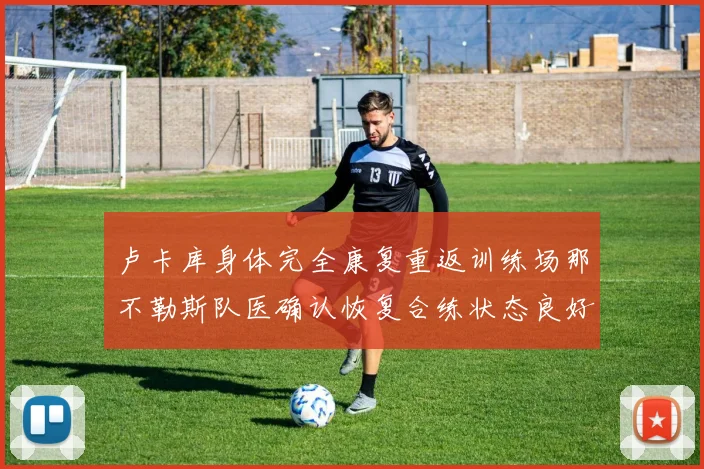 卢卡库身体完全康复重返训练场那不勒斯队医确认恢复合练状态良好